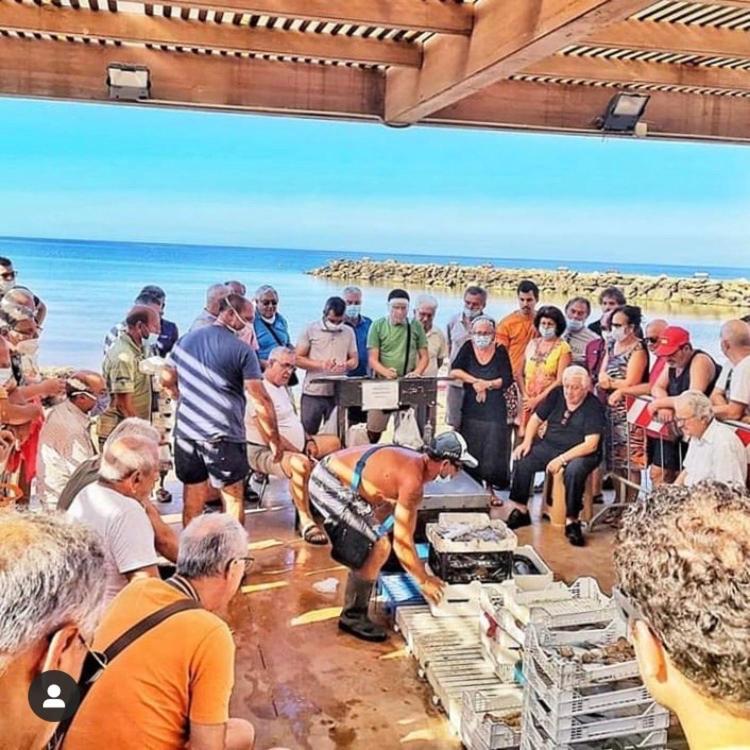 La Terrazza Sul Mar Mediterraneo Маринелла-ді-Селінунте Екстер'єр фото